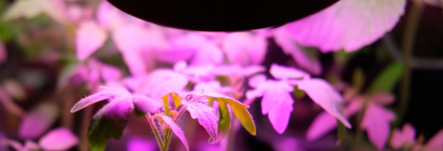 panneaux LED