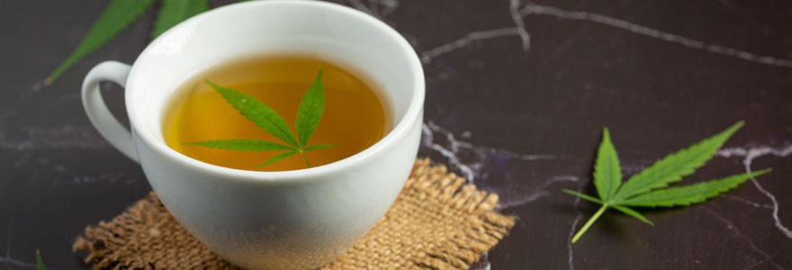 infusion de CBD